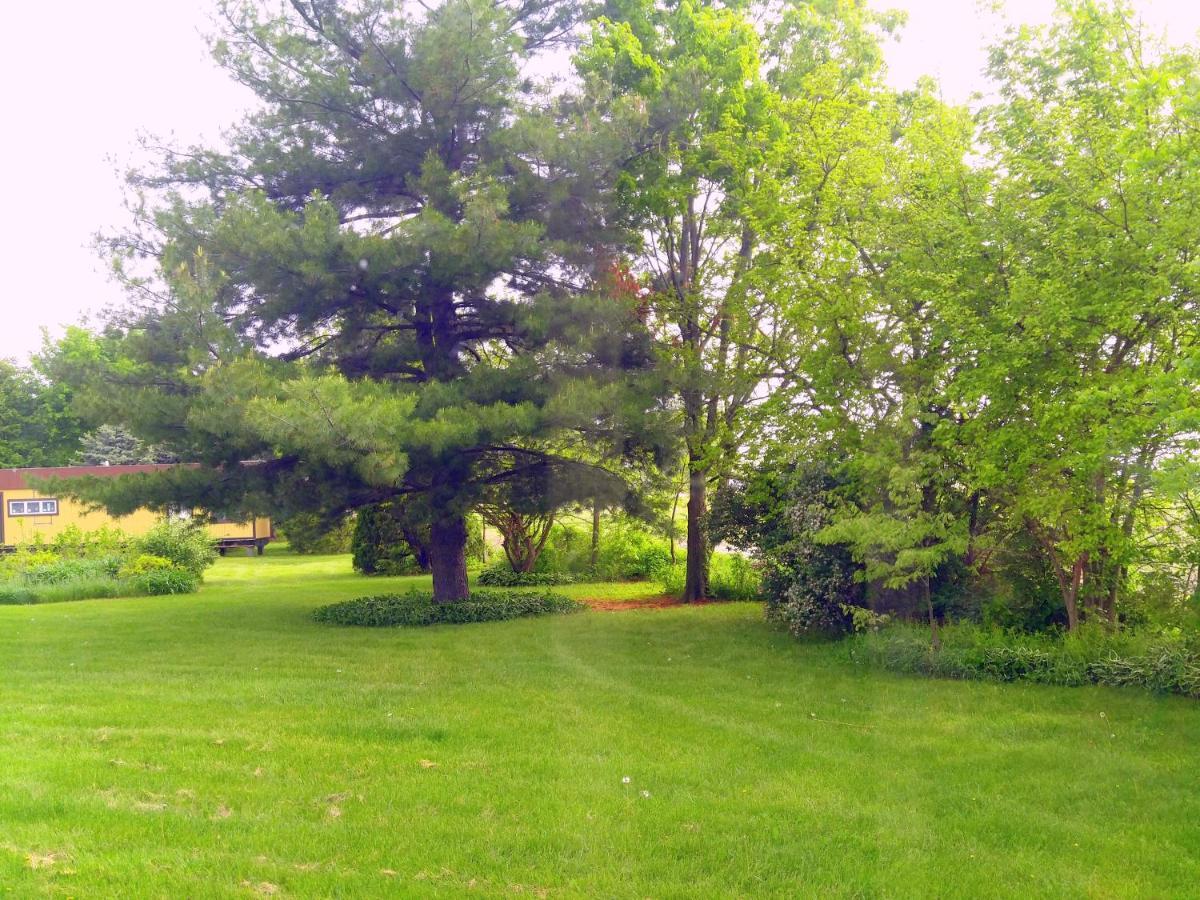 The Usonian Inn Llcスプリング・グリーン エクステリア 写真